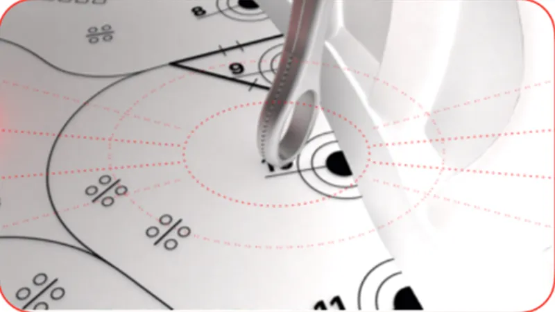 Notice inner and outer target rings